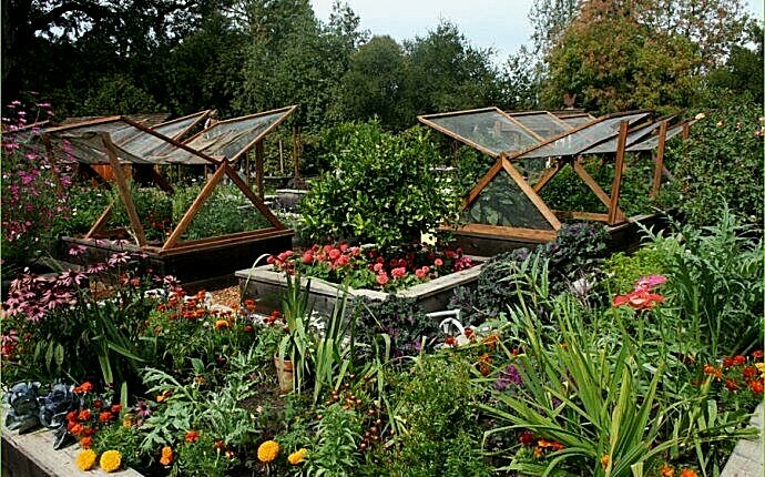 Vegetable Seed LARGE SURVIVAL Garden Collection 30 Types Heirloom NON-GMO gallery