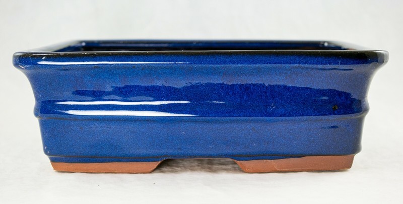 Rectangular Bonsai, Succulent Pot 10"x 8"x 3.25" + Tray + Mesh Dark Blue Glazed gallery