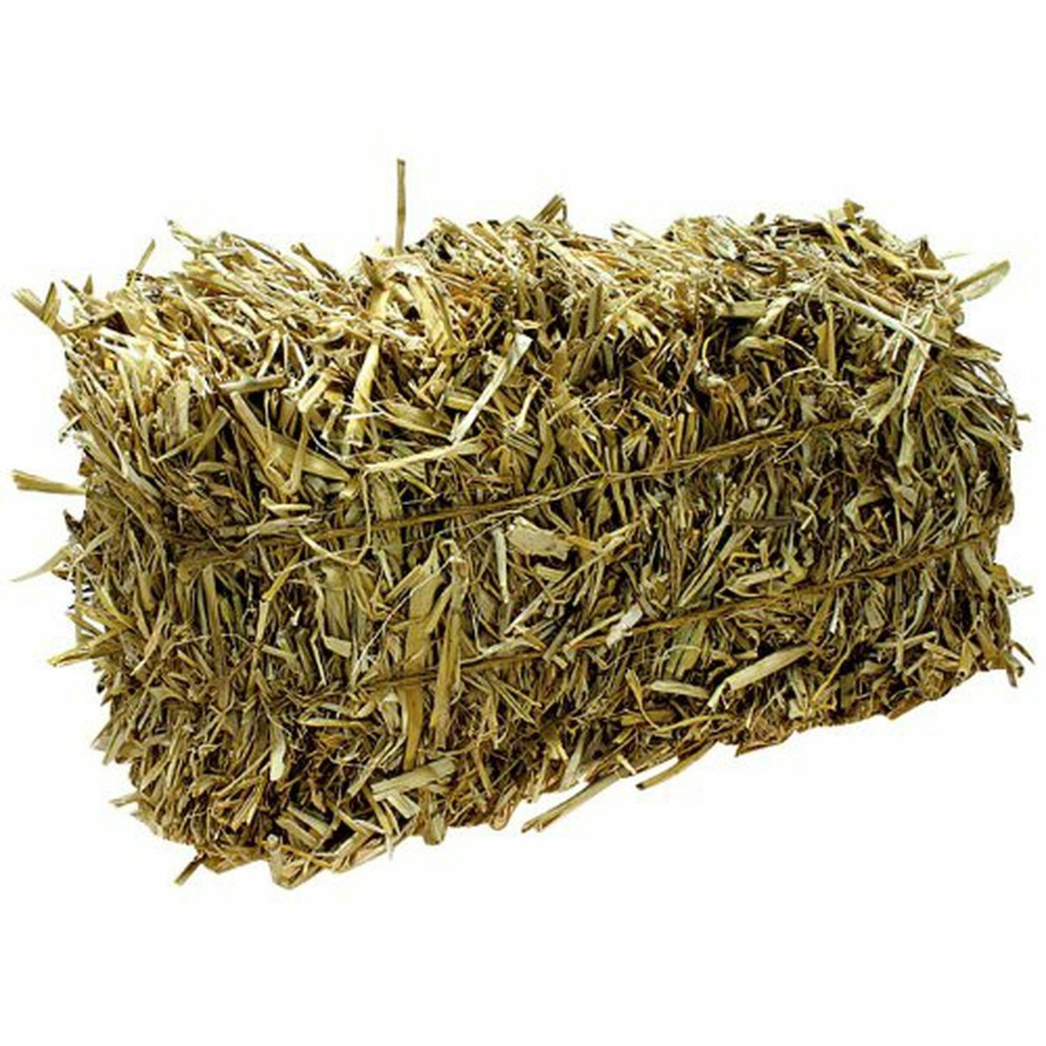 JUMBO Barley Straw Bales (20-25 lbs) Farm Pond Algae Control Water Treatment gallery
