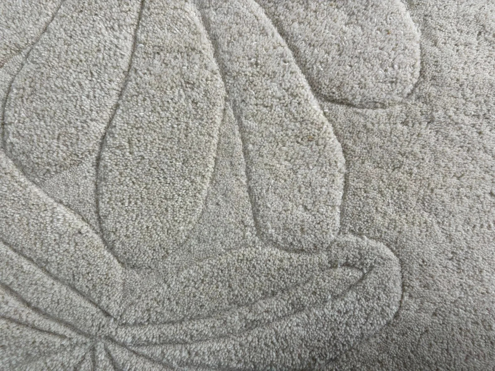 Hand Tufted Wool Rug: Embossed Floral beige area rug 8x10 gallery