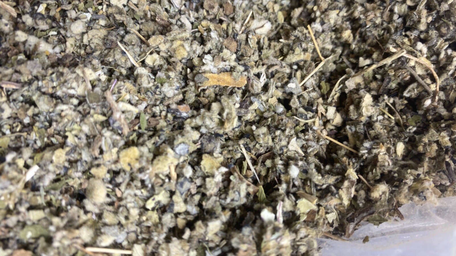 COLTSFOOT MULLEIN PEPPERMINT LOBELIA organic bulk herb blend mix 1 2 4 8 oz lb gallery