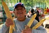 Nayarit Jala Amarillo Corn Seeds (50) / MEXICAN HEIRLOOM / Super Rare/ Massive gallery