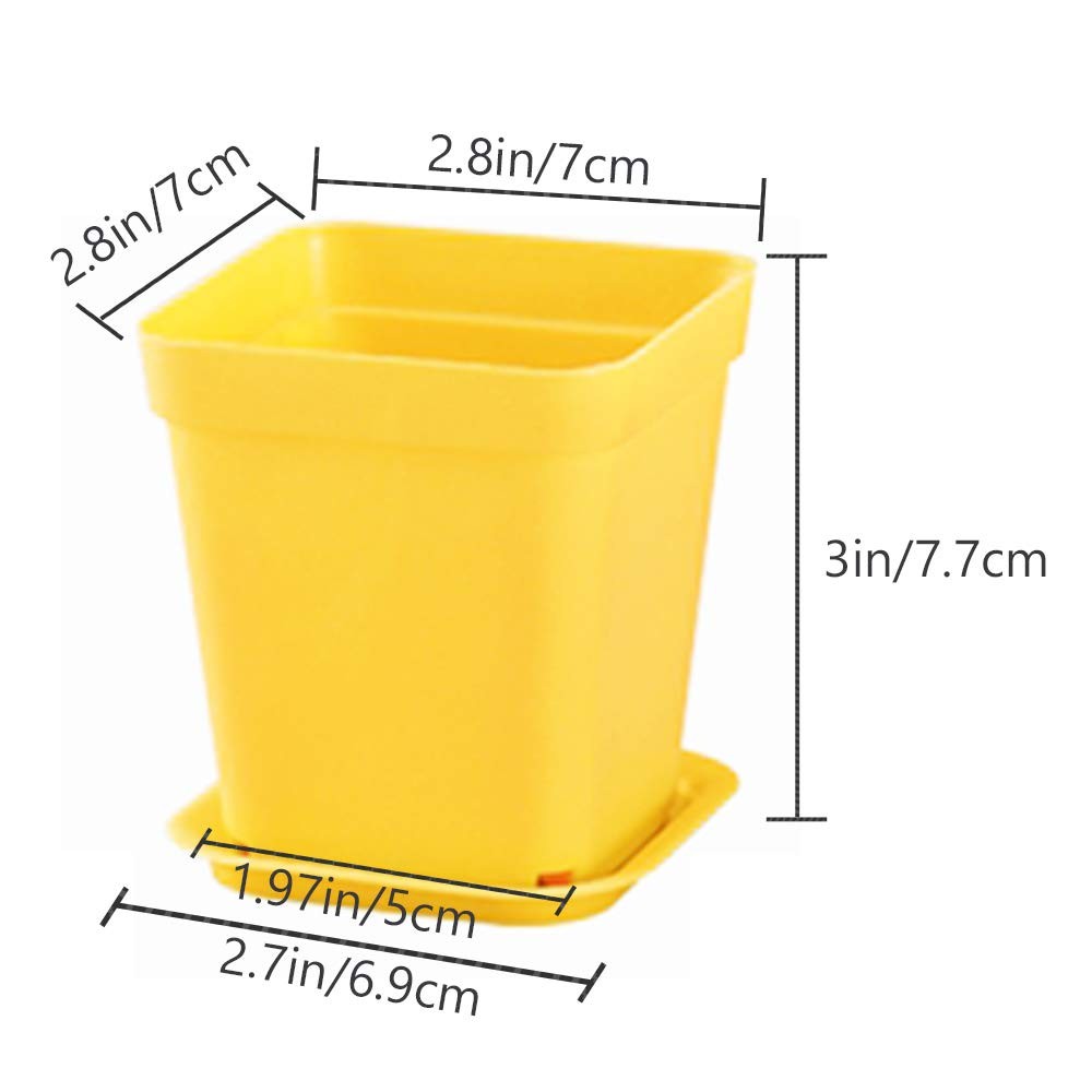 24 Pack Colorful Square Plastic Flower Pots with Saucers for Plants gallery