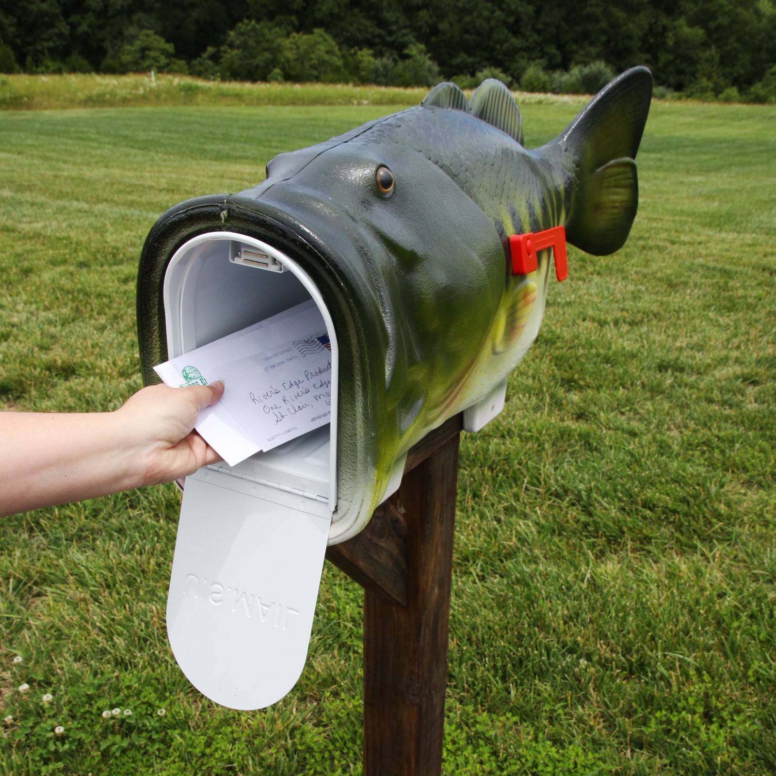 Largemouth Bass Fish Mailbox for Outside of Residential Home, Rural Mailbox gallery