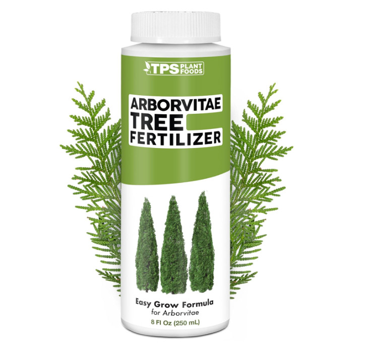 Arborvitae Tree Fertilizer for All Arborvitaes, Evergreen Shrubs and Thuja Trees