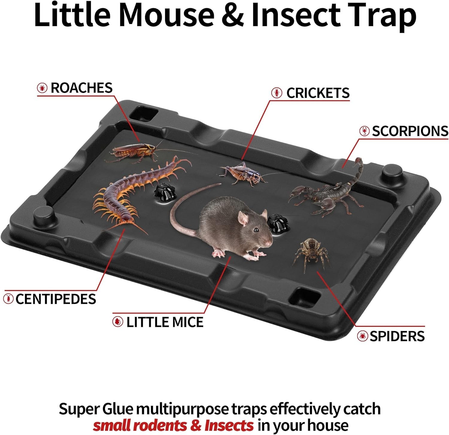 Mouse & Insect Traps 12 Pack, Heavier Sticky Traps with Non-Toxic Glue for Mice gallery