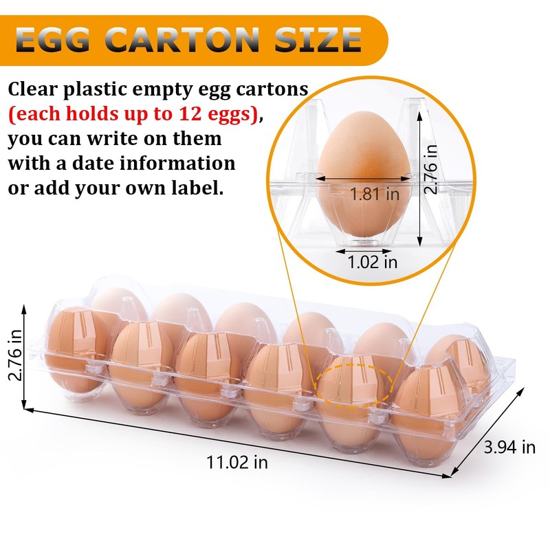 48 Pack Clear Empty Egg Cartons 12 Count 1 Dozen Plastic Holder Reusable gallery