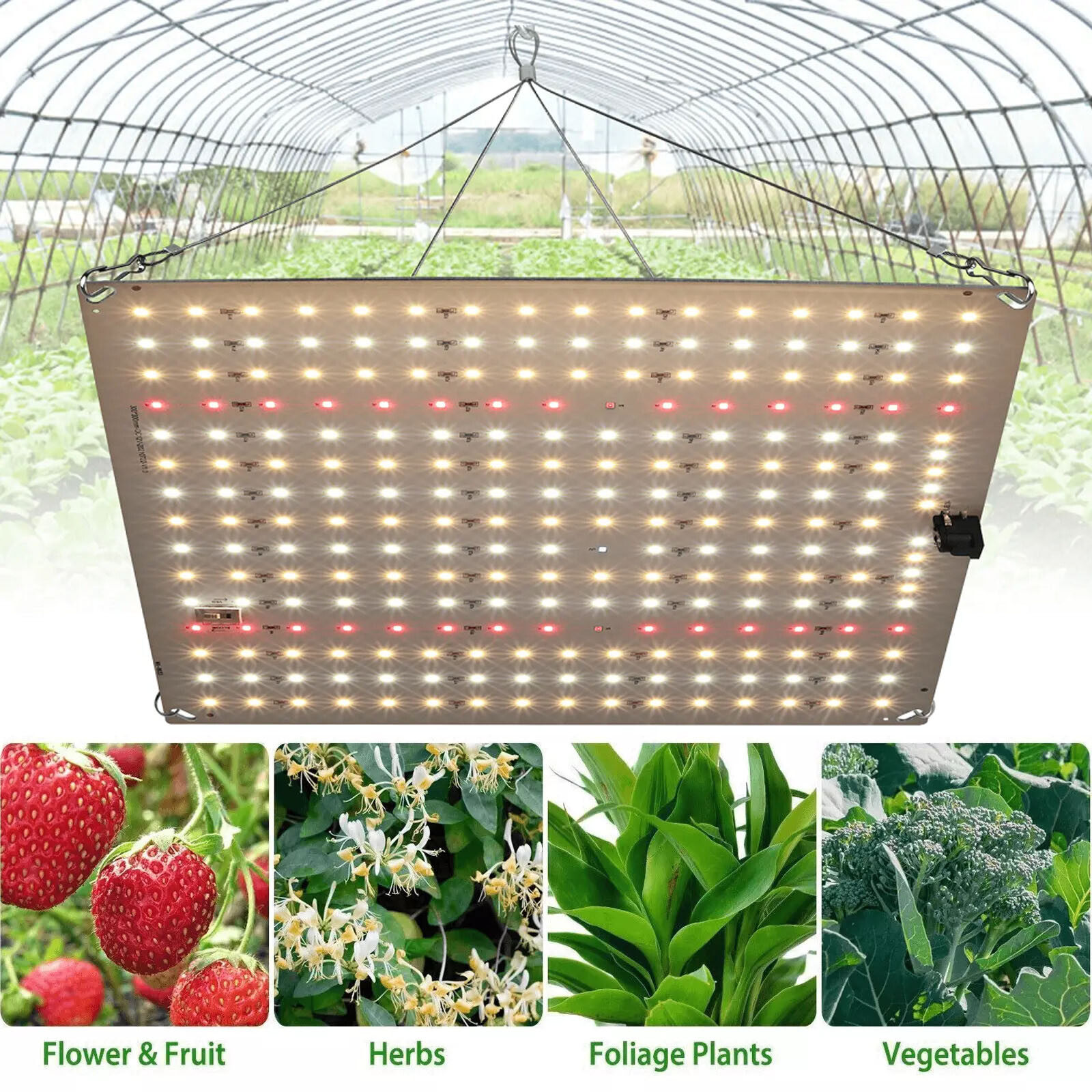 Grow Light 1000W 4x4ft Full Spectrum LED for Indoor Plant Growth Coverage Area gallery