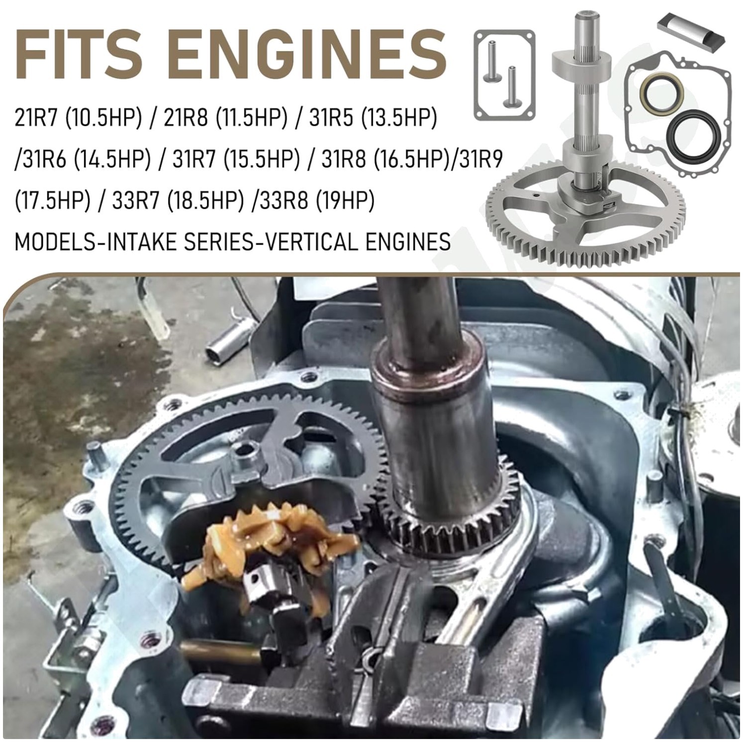 Camshaft Kit B&S 793880 Compatible + Gasket 697110 gallery