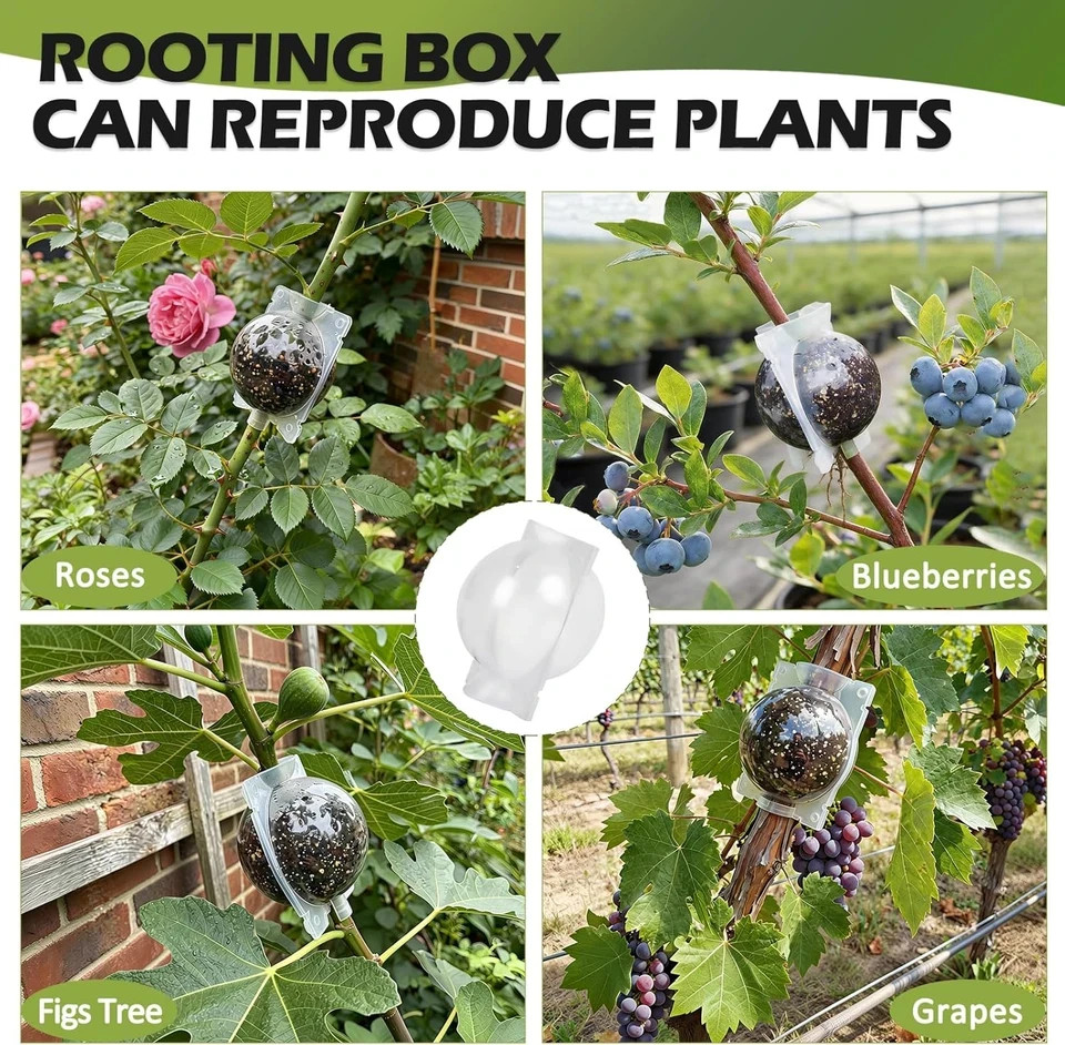 Tree Root Growing Box, Air Layering Pods Propagation Kit, Reusable Half Transpar gallery