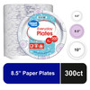 Great Value Disposable Paper Plates, 8.5", 300 Count, Ship from US gallery