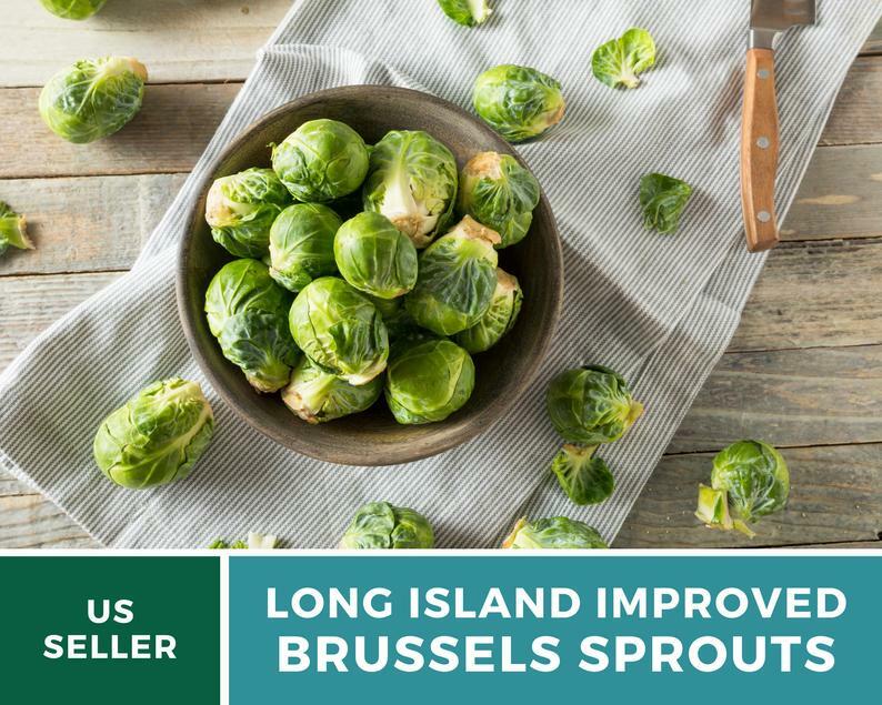 Brussels Sprouts, Long Island Improved - 150 Seeds - Heirloom - GMO Free gallery
