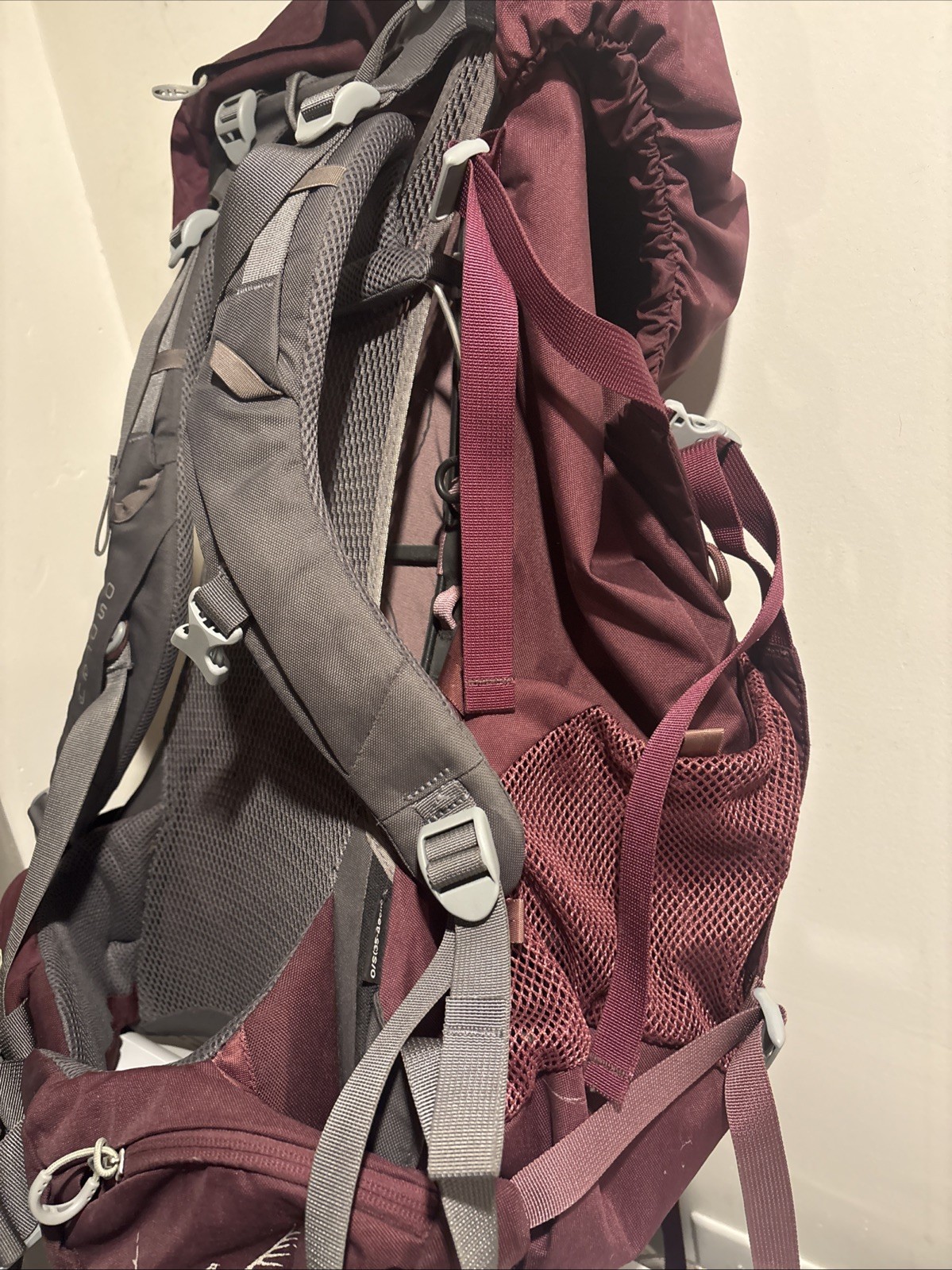 Osprey Women's Renn 50 Ventilated Backpacking Pack 3