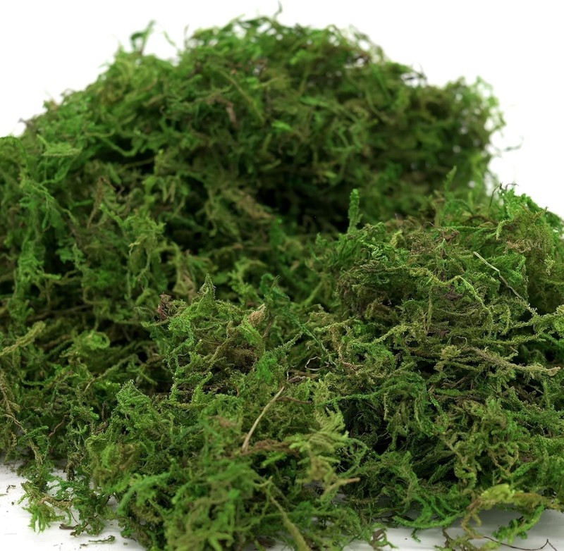 Versatile Artificial Moss 16oz - Perfect for Fairy Gardens & Floral Arrangements gallery
