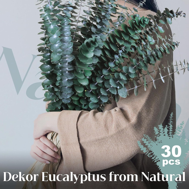 30Pcs Dried Eucalyptus Stems, 17" Real Preserved Eucalyptus Plant for Shower, Fr gallery