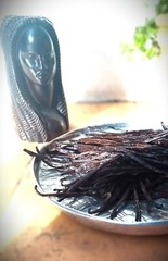 20 fresh Madagascar vanilla beans straight from the island
