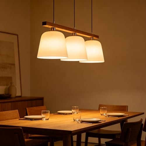 Incandescent Light Bulbs 75 Watt, Warm EdisonLight Bulbs, Dimmable A19 Antique gallery