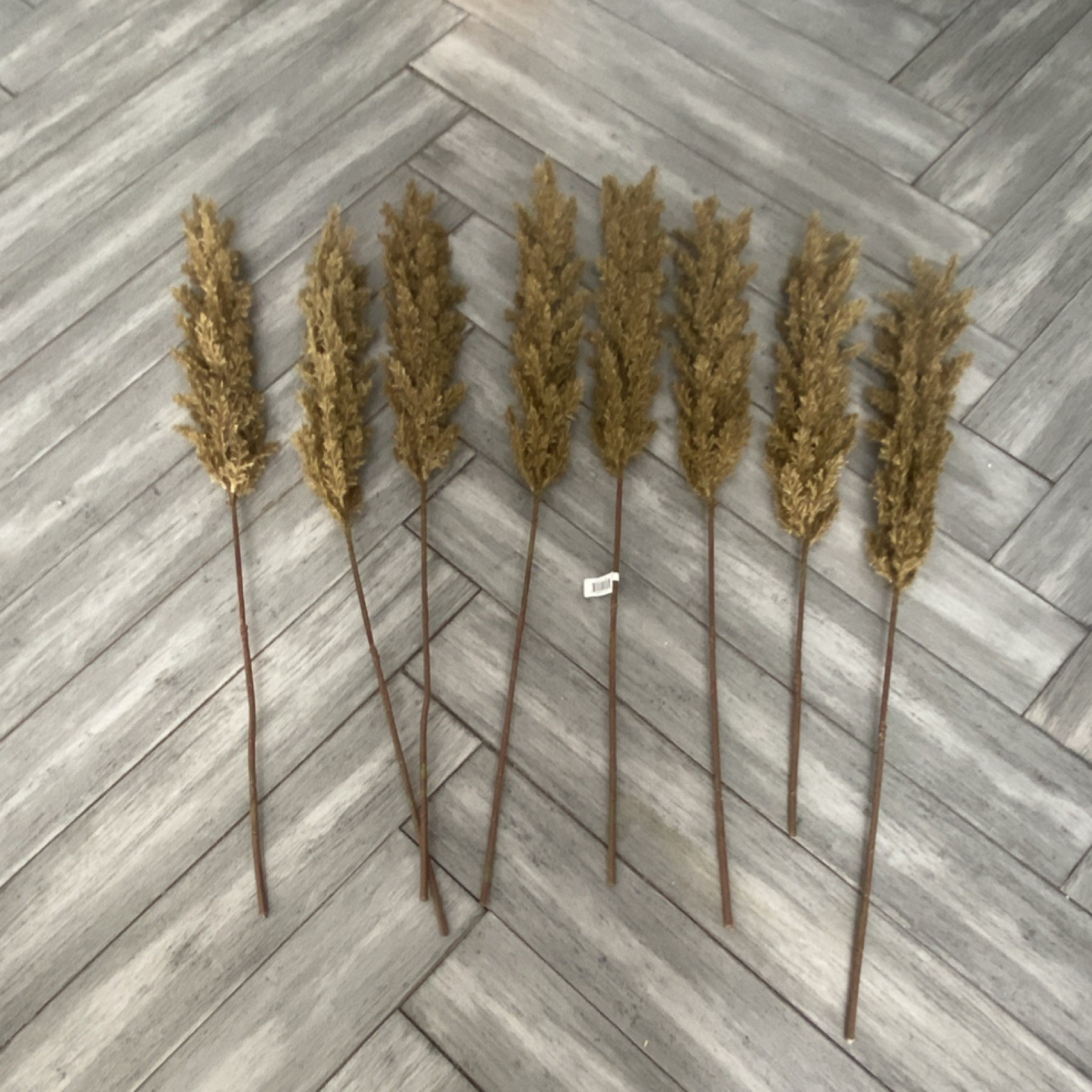 Fresh Brown Grass Flower Stem Branch Twig Décor, Nature Theme, Houseplant gallery