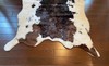 FAUX COWHIDE RUG TRICOLOR 36" X 54" gallery