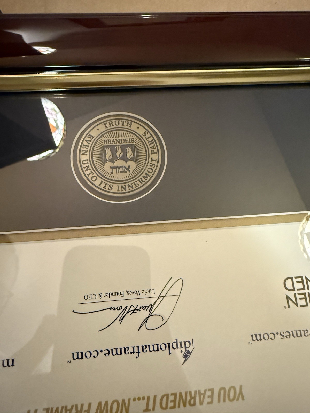 Brandeis University Diploma Frame | Church Hill Classics gallery