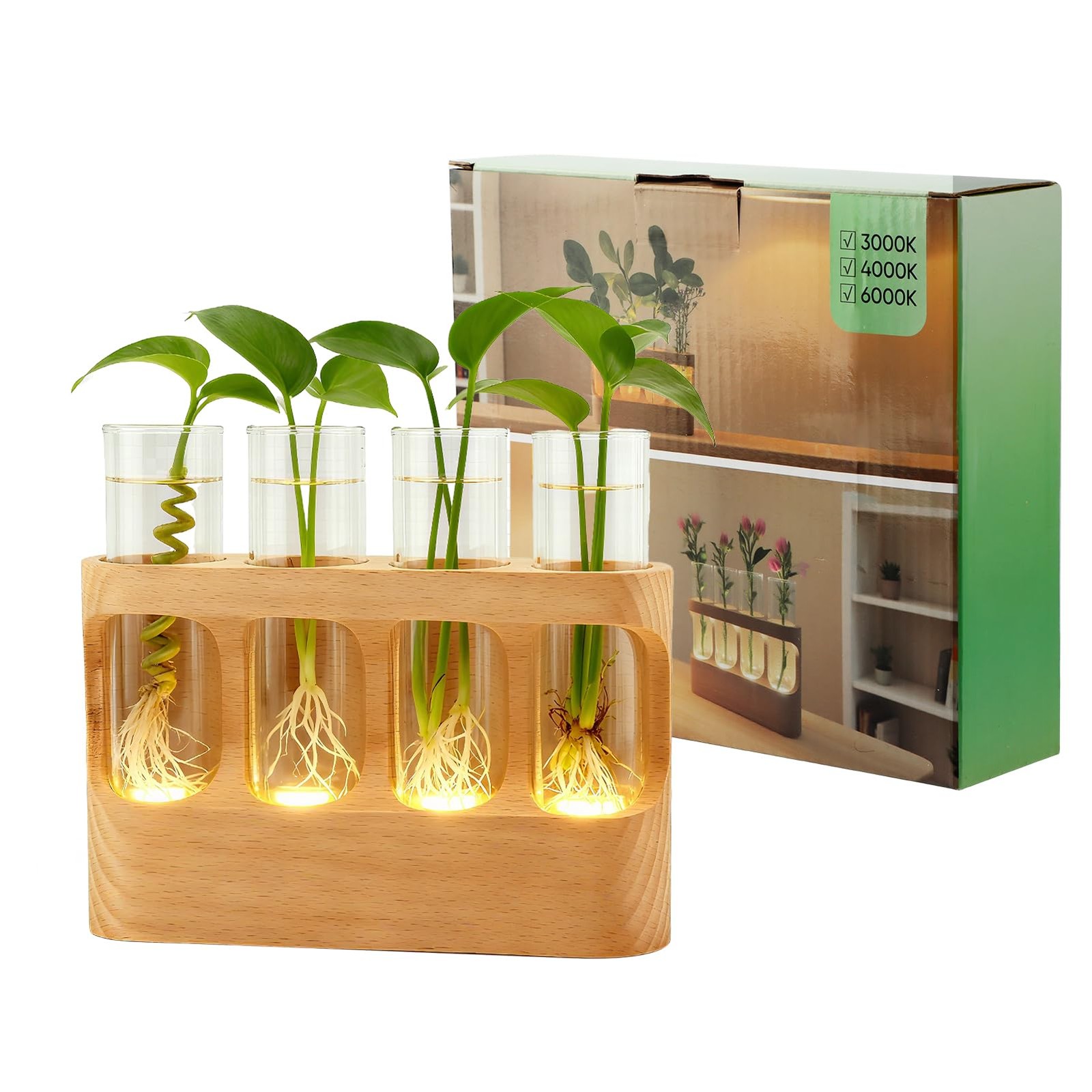 Rechargeable Plant Propagation Station with Wooden Stand,Desktop Terrarium Ho gallery