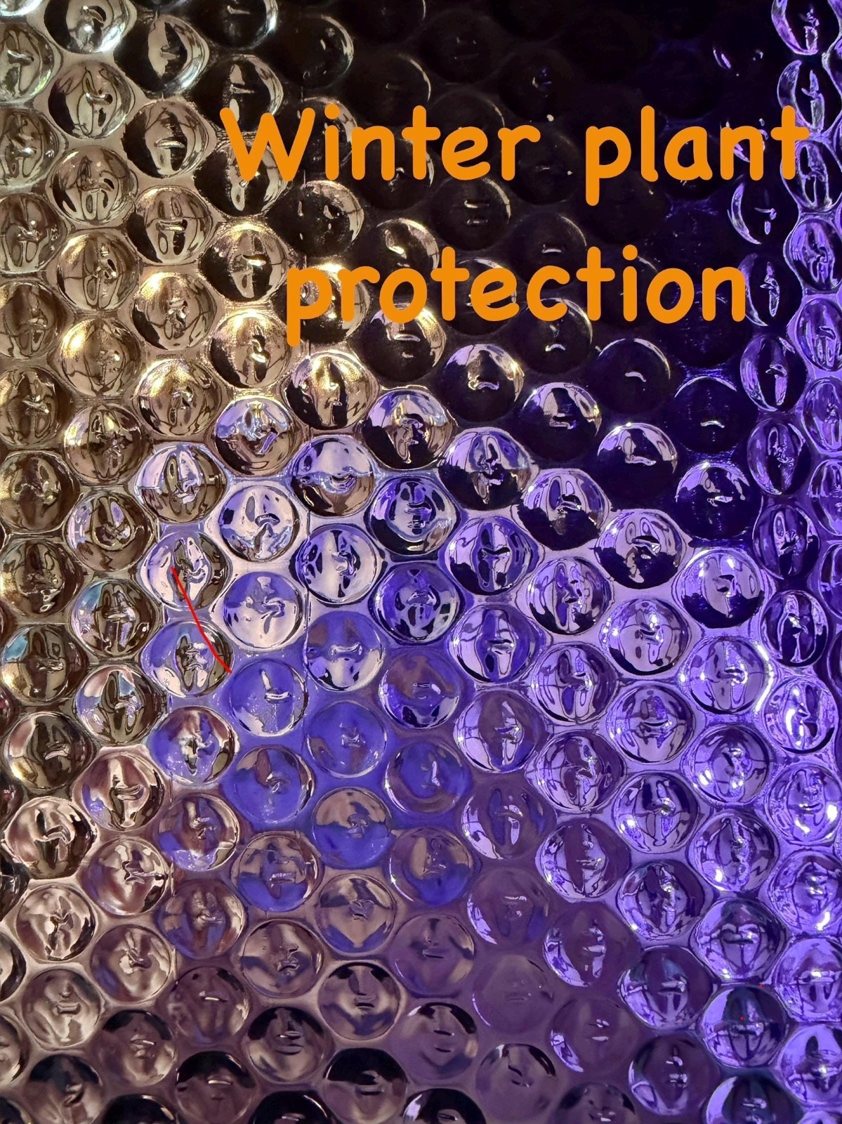 Winter Plant Protection Insurance Package - ADD-ON ONLY gallery