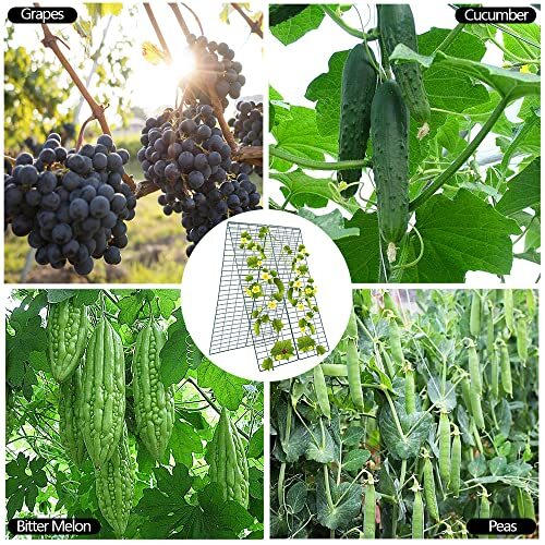 CUCUMBER TRELLIS Foldable A-Frame Small Grid 2 Pack 34"x 48" TORIEXON gallery