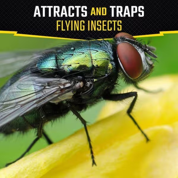 Fly Stick Insect Trap (2-Pack) gallery