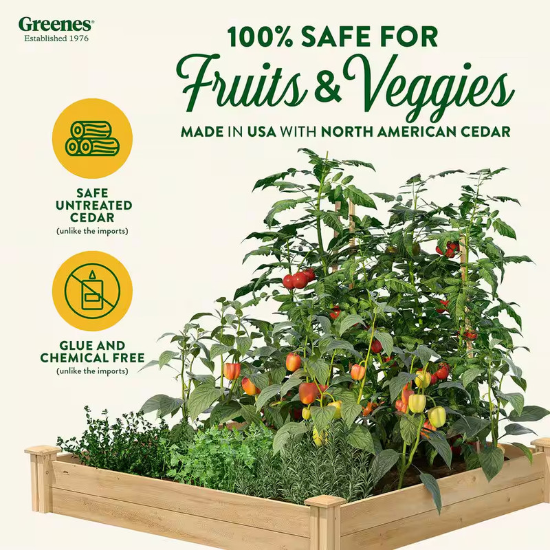 Premium Sanded Natural Cedar Wood Rectangle Raised Garden Bed with 3/4 In. Thick gallery