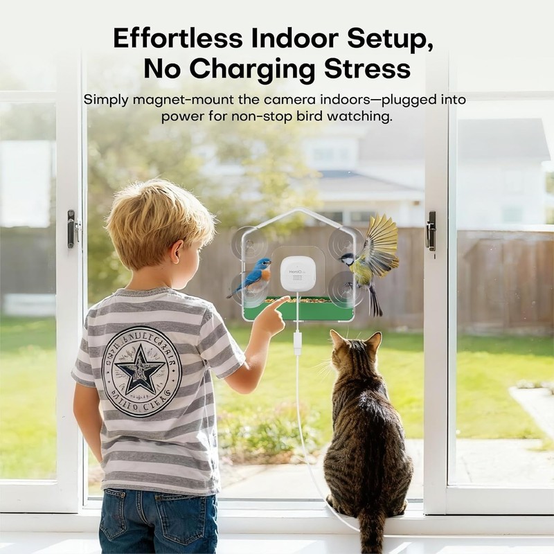 Interactive Smart Bird Feeder with AI Recognition & Durable Construction - 2K HD gallery