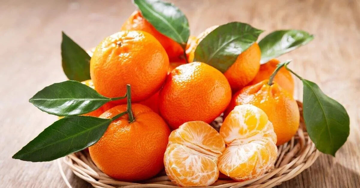 Mandarin - 15 Seeds 2024 - USA gallery