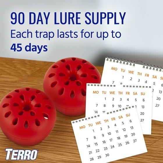 Indoor Fruit Fly Trap, (2-count) , Terro Traps, In Built With Window Sinks... gallery