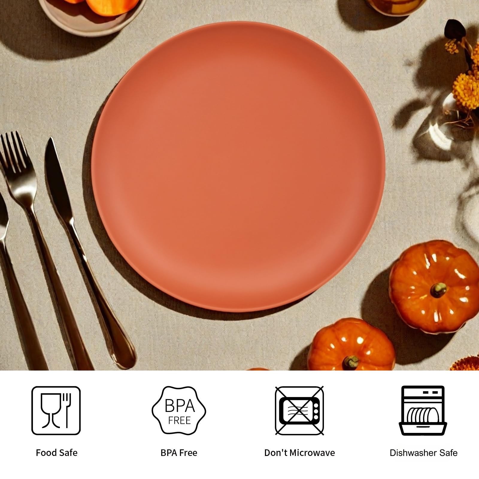 TP 10" Plate Set, 6-Piece Melamine Round Dinner Plates, Unbreakable Weighty Serv gallery