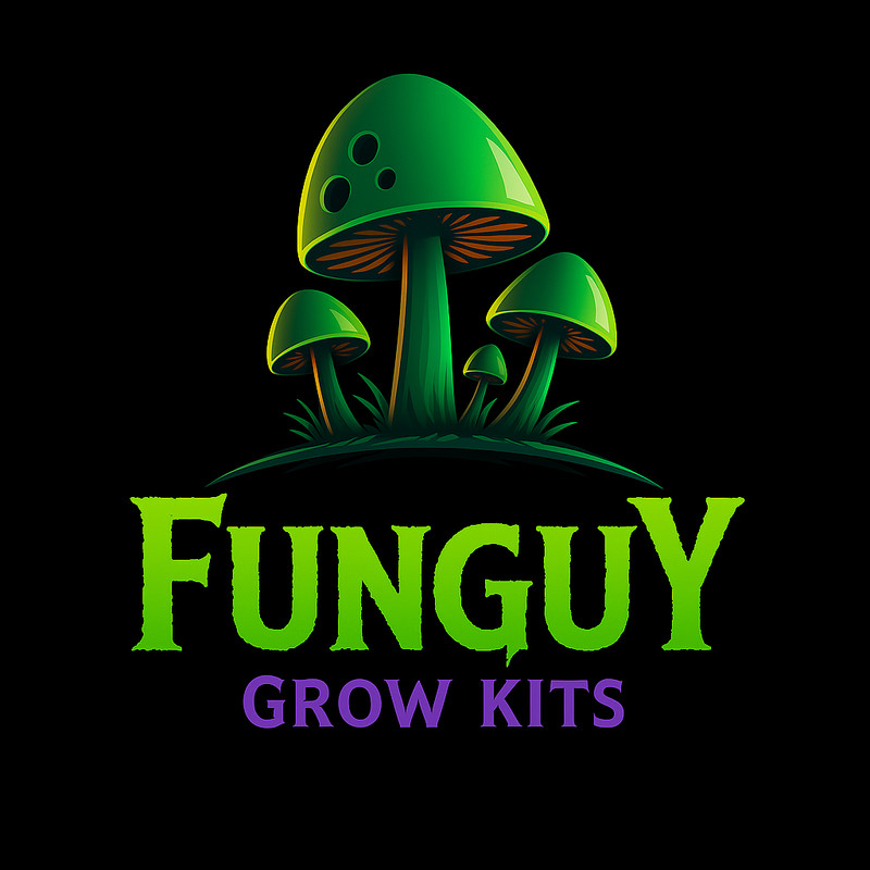 4 - 1lb Grain Spawn bags Rye Berries w/ Injection Ports Mushroom Growing How To gallery