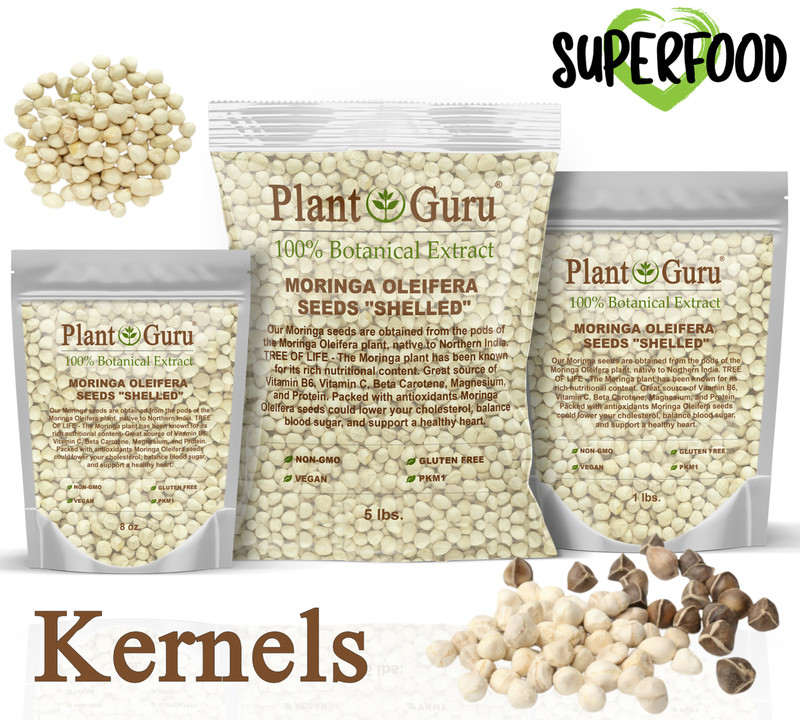 2500 Moringa Oleifera Seeds Kernel 2 lbs. Jar Bulk SHELLED Fresh gallery