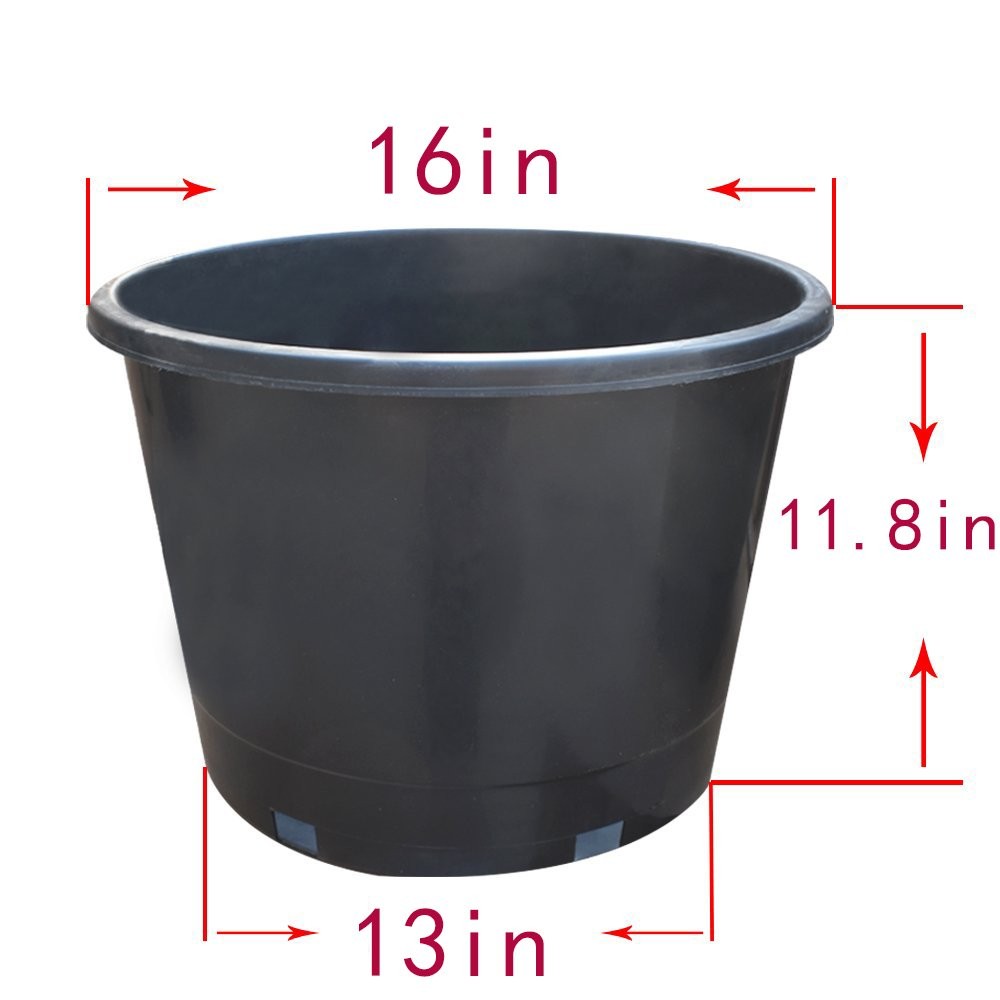 Black Plastic Nursery Containers Plant Flower Pot 1/2/3/5/7/10/20/25 Gallon gallery