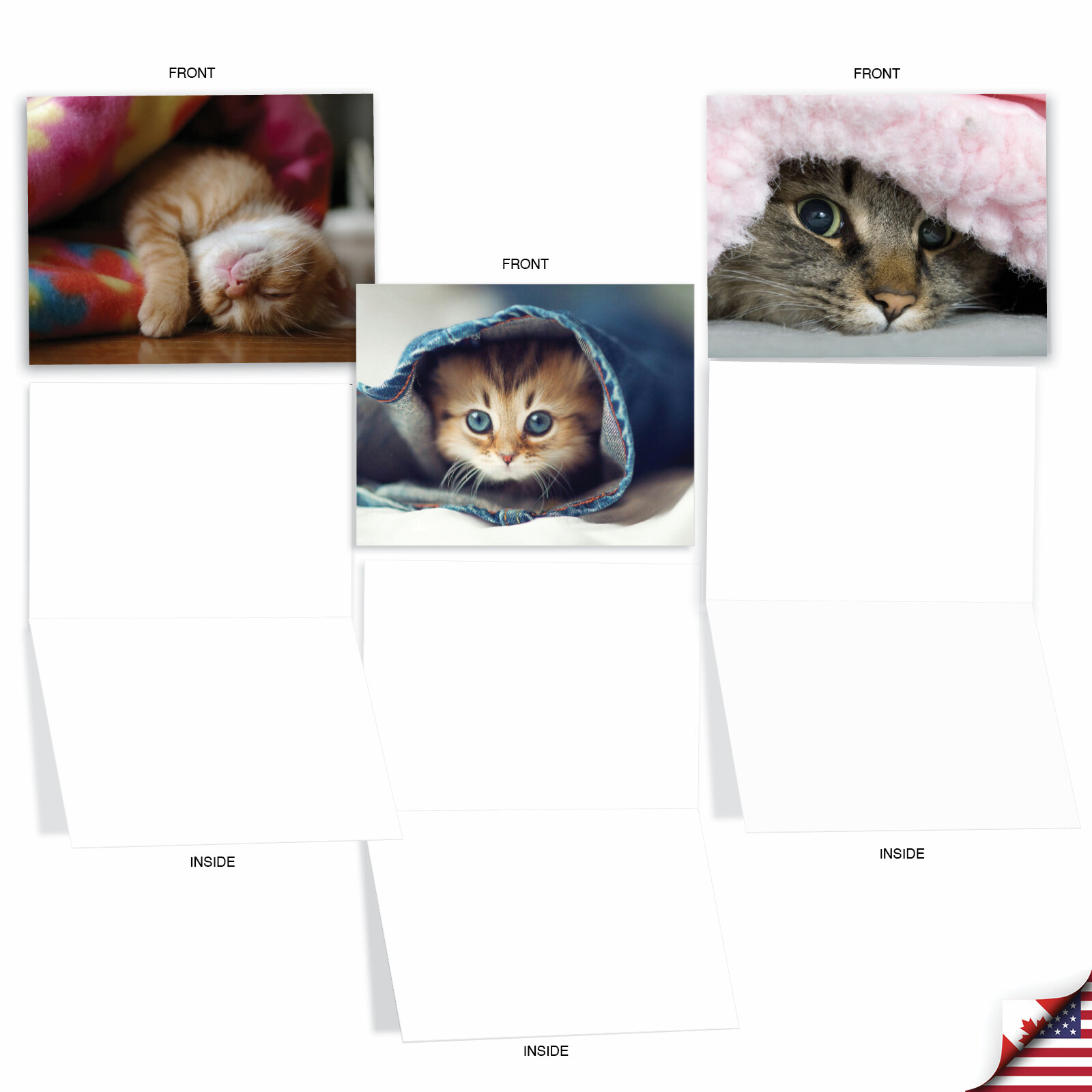 10 Assorted All Occasion Blank Note Cards - CAT YOU SEE ME NOW M1543BN gallery
