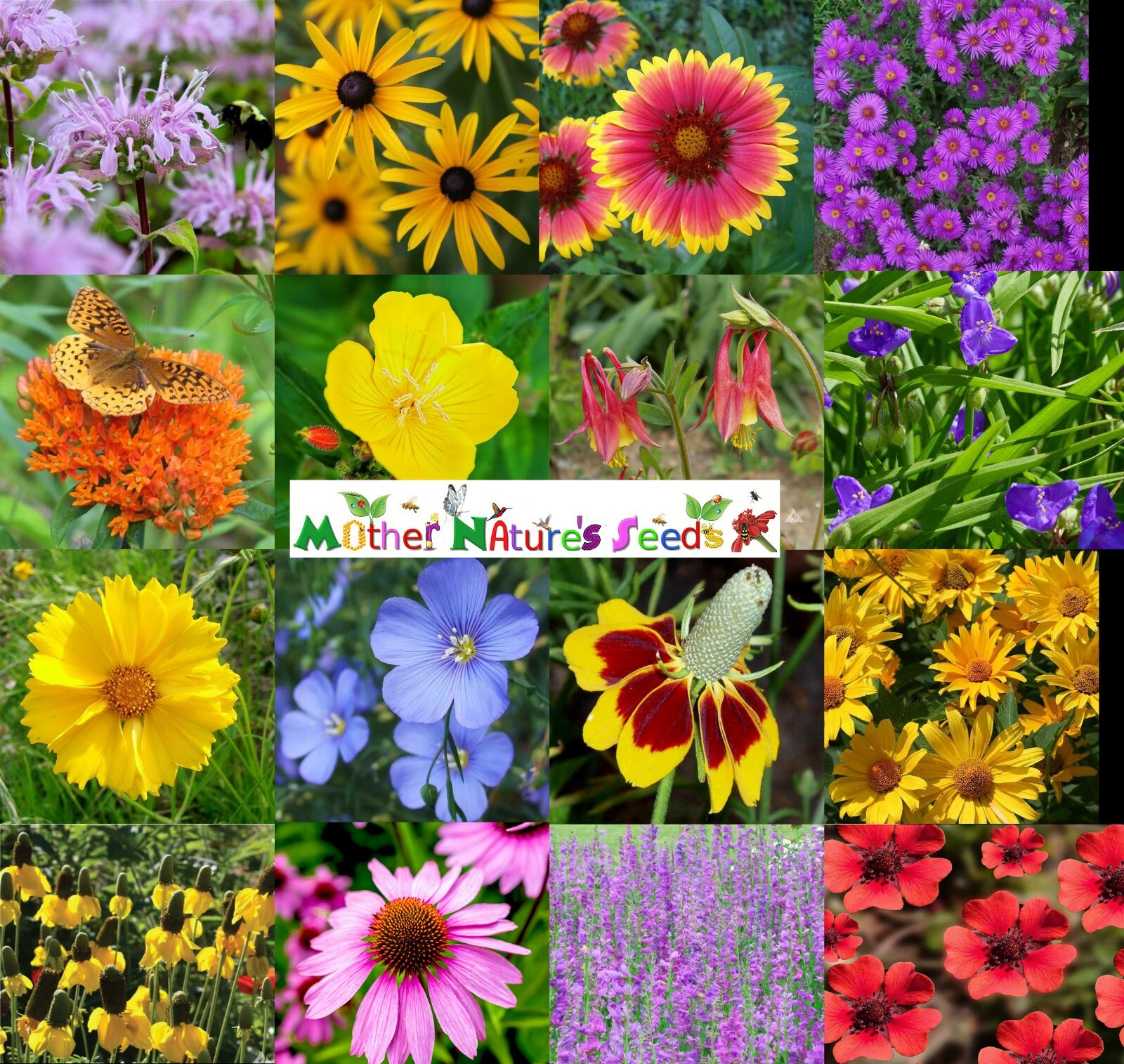 Wildflower Mix NATIVE ALL PERENNIAL Butterflies BEES Heirloom Non-GMO 500 Seeds! gallery