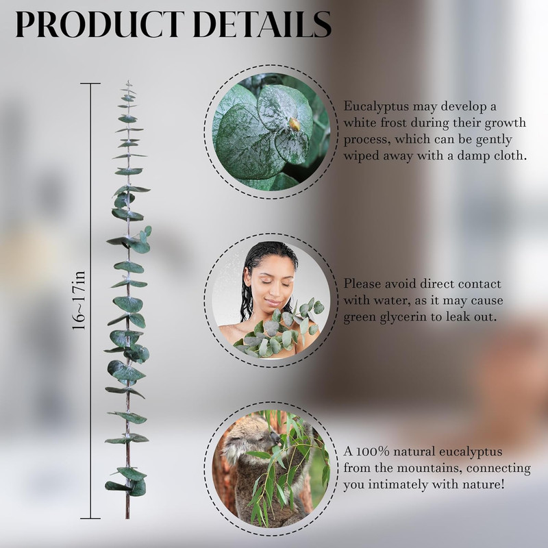 30Pcs Dried Eucalyptus Stems, 17" Real Preserved Eucalyptus Plant for Shower, Fr gallery
