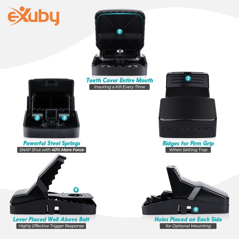 eXuby Squirrel Trap (2 pack) - Powerful Spring - 96% Instant Kill -Easy Setup gallery