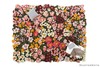 Floral - Multicolored, Hand-Tufted 100% Wool Soft Area Rug Carpet gallery