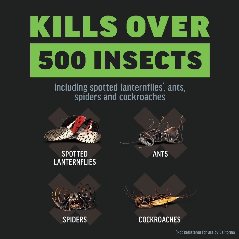 Kill Outdoor Insect Killer Liquid Concentrate, Kills over 500 Insects; 32 oz. gallery