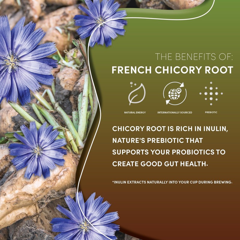 Teeccino Chicory Coffee Alternative – French Roast – Ground Herbal Coffee gallery