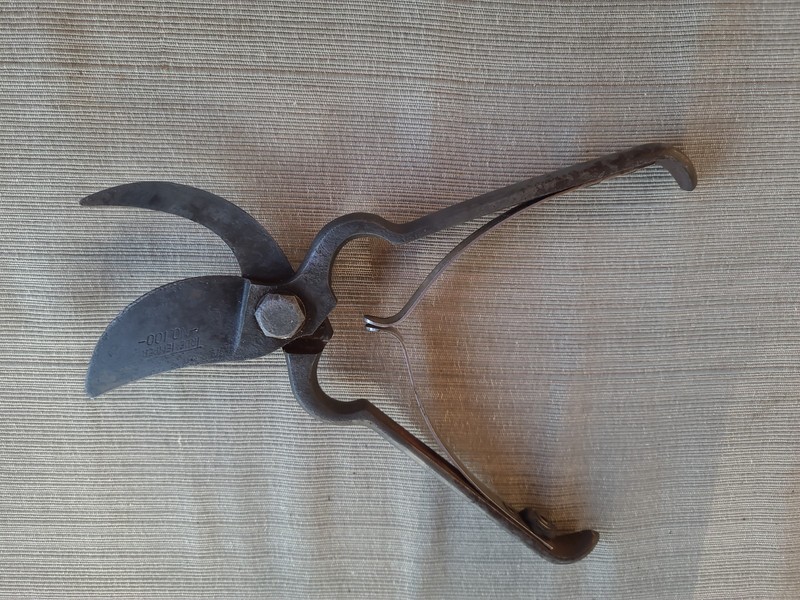 Antique True Temper Stiletto Pruning Shears Gardening Hand Tool gallery