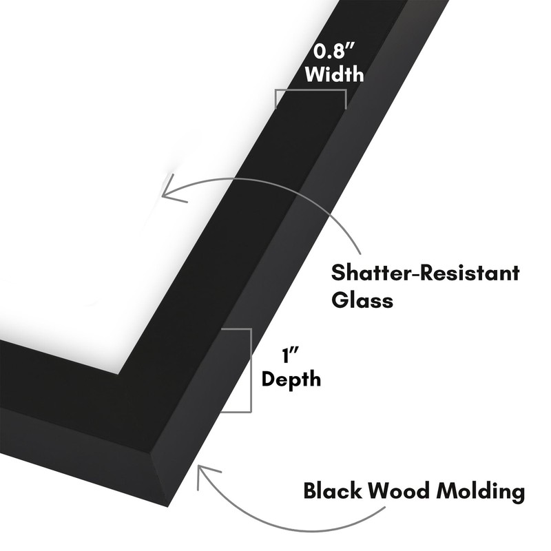15x26 Newspaper Floating Frame w/ Shatter-Resistant Glass for Wall Display,Black gallery