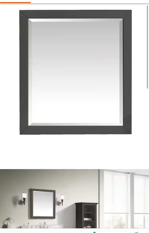 Home Decorators Collection Windlowe 28 in. W x 32 in. H Rectangular Wood Framed gallery