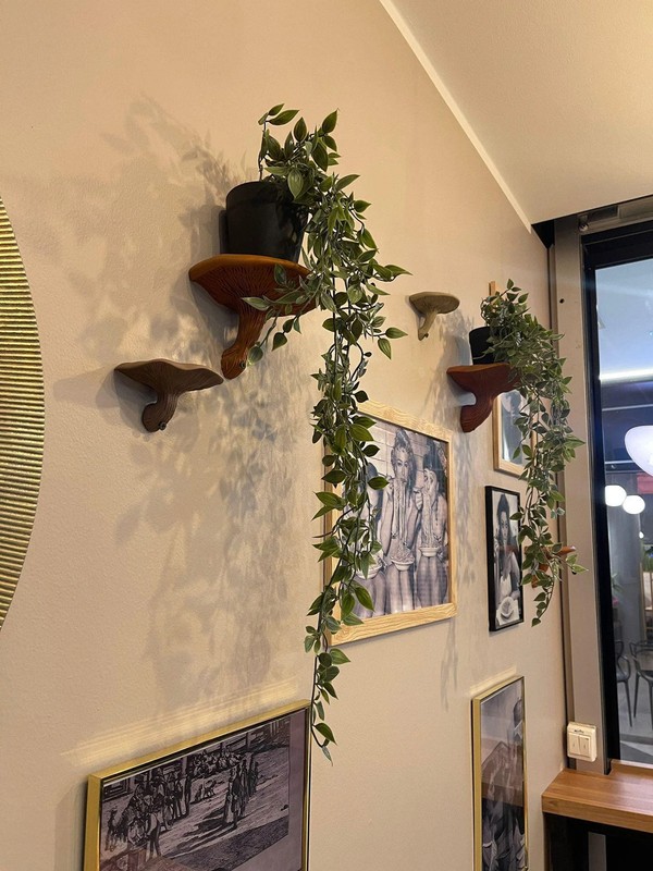 3D Printed Mushroom Shelf Floating Wall Mounted Organic Decor Nature Home Accent gallery