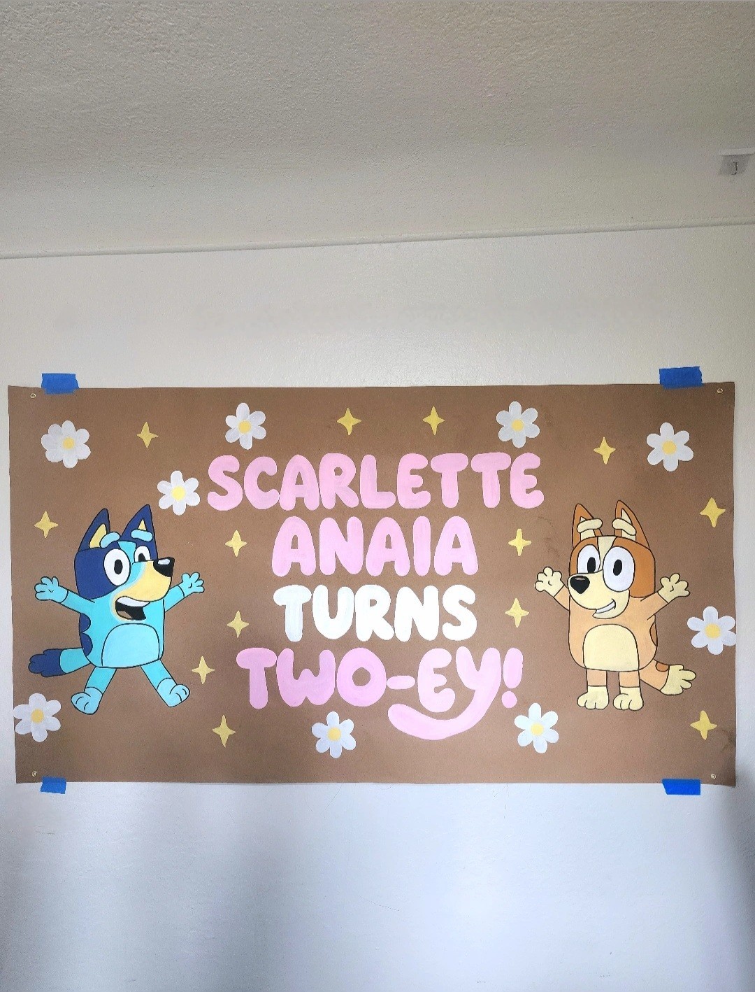 Cartoon & TV Characters Birthday Party Backdrop with PAW Patrol, Stitch, Bluey gallery