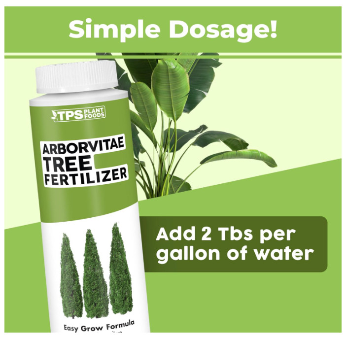 Arborvitae Tree Fertilizer for All Arborvitaes, Evergreen Shrubs and Thuja Trees gallery