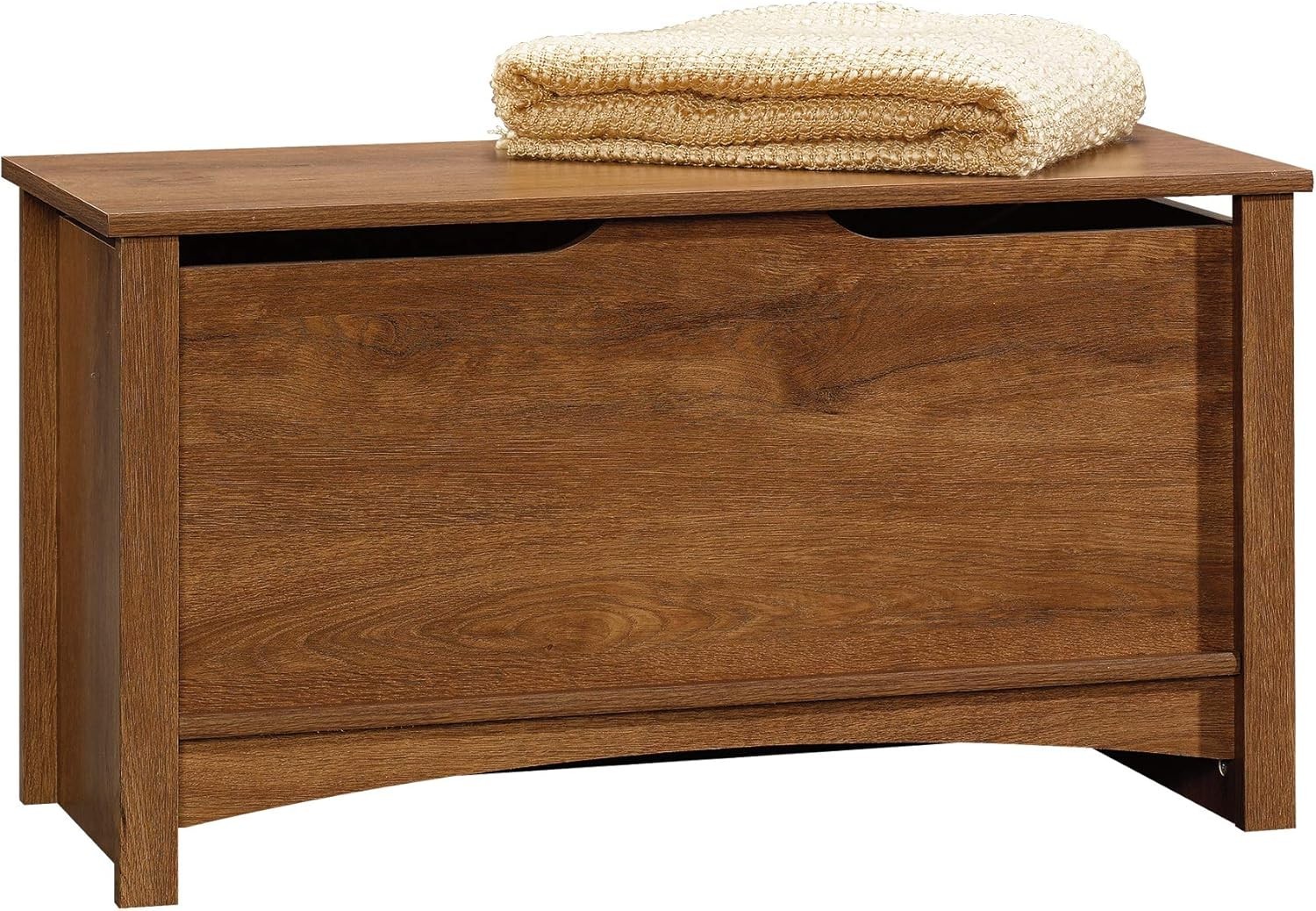 Shoal Creek Storage Chest, Toy Storage Chest for Living Room, Storage Trunk, ... gallery